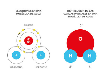 MolÃ©cula del agua