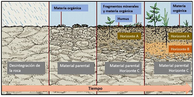 Esquema  de la formaciÃ³n del suelo