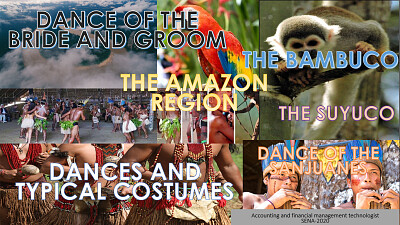 THE AMAZON REGION