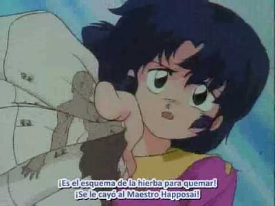 akane se sacrifica por ranma ranma 1/2