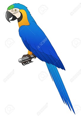 פאזל של blue macaw puzzle