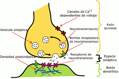 Resuelve el siguiente rompecabezas