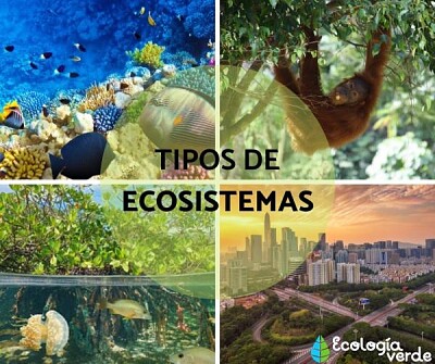 Ecosistemas