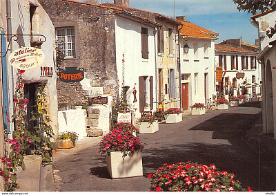 mornac sur seudre