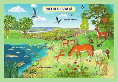 medii de viata