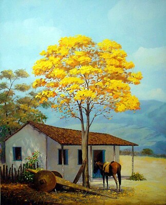 YpÃª amarelo