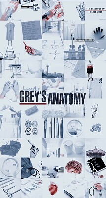 Grey 's Anatomy