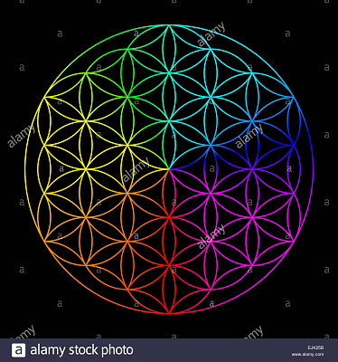 rainbow flower of life