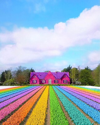 Colorful House