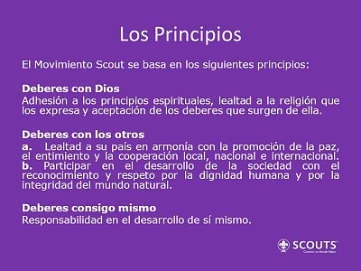 principios scouts