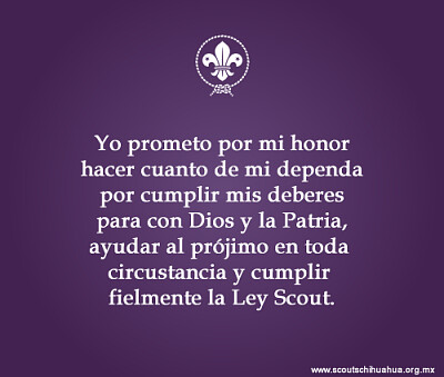 promesa scout