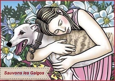 sauvons les galgos