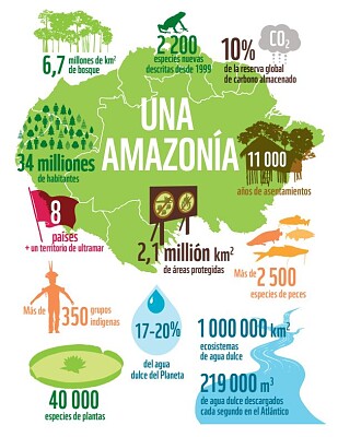 AMAZONIA SOCIEDAD Y AMBIENTE