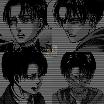 Levi