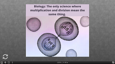 Cell Division