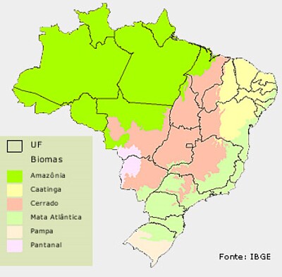 Biomas Brasileiros