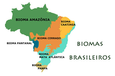 Biomas Brasileiros 2