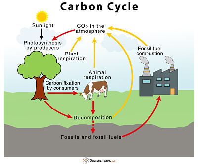 Livengood 's Science