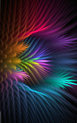 abstract feather flower