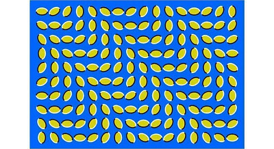 Perceptual Illusion 1