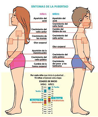 Cambios en la pubertad