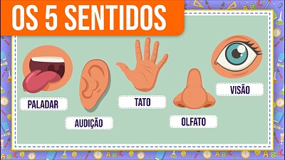 5 sentidos