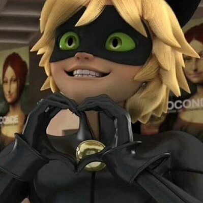 chatnoir cute