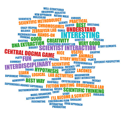 feedback word cloud