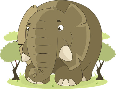 Elefante