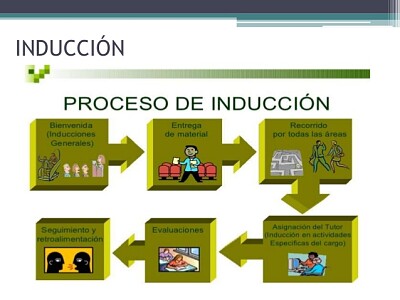 Proceso de Inducción