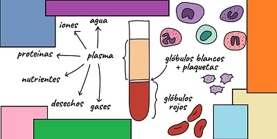 Células en la sangre