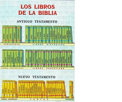 Rompecabezas libros Biblia