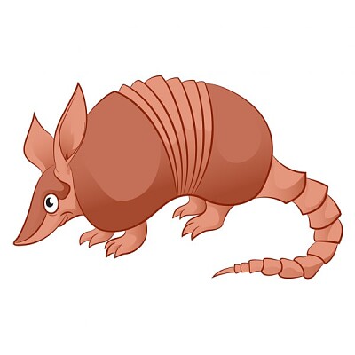 Armadillo