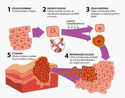 O que é o câncer?