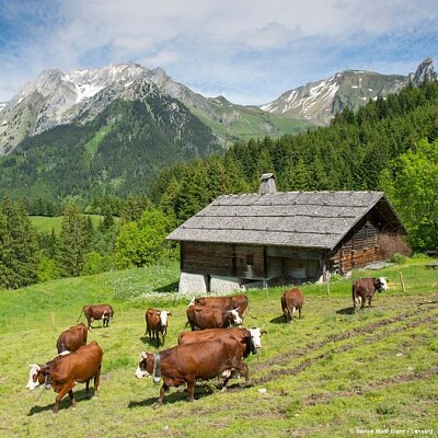 Ferme d 'alpage Savoie