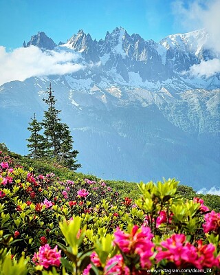 Chamonix-Mont-Blanc