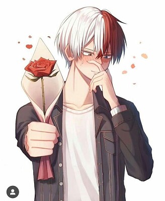 Shoto Todoriki (personaje de anime)