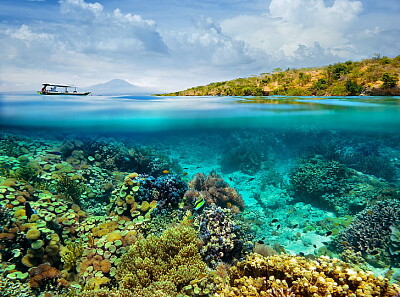 Half-underwater with boat