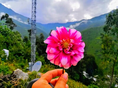 Hermosa Flor