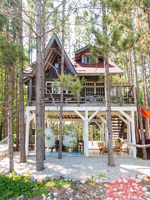 Tree House