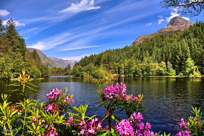 Glencoe Lochan Scotland Summer