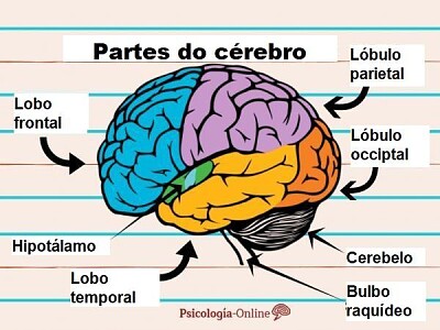 cerebro