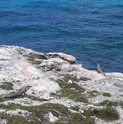 VISITANDO ISLA MUJERES- MEXICO