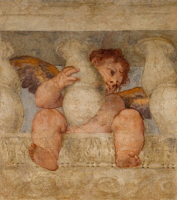 Putto alato