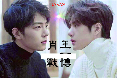 Xiao Zhan / Wang Yibo