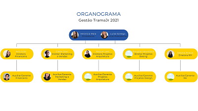 organograma teste