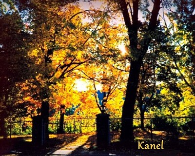 Kanel