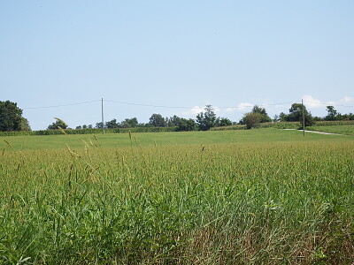 aperta campagna