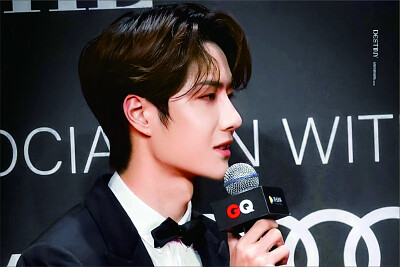 Chinese actor Wang Yibo