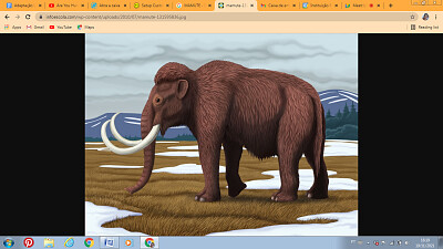 Mammoth